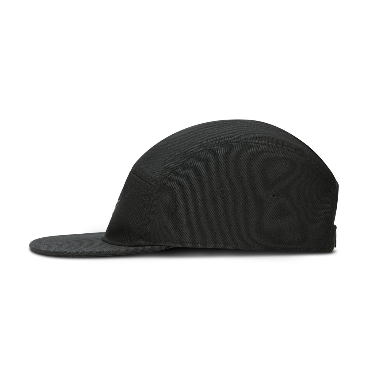 Nike SB Fly Cap - Black